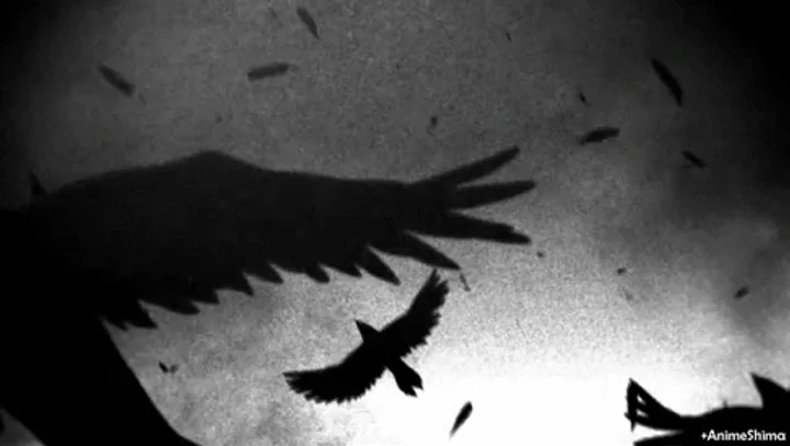 Fallen Seraph: Wing Shadow