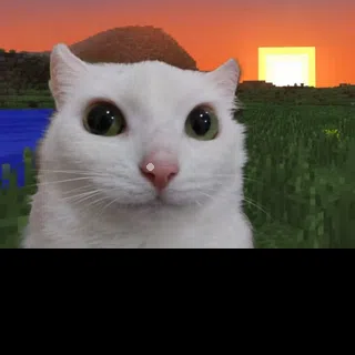 Minecraft Cat: Sunset Gaze Animated