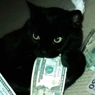 Hustle Tabby: Money Cat