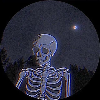 Lunar Ossuary: Moonlit Skull