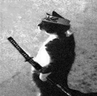 Bushido Neko: Samurai Cat