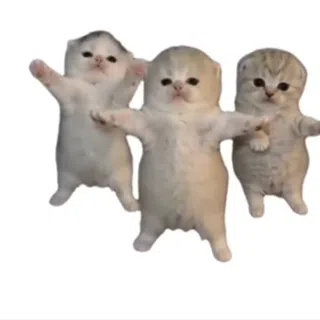 T-Pose Kittens: Dance Party Animated
